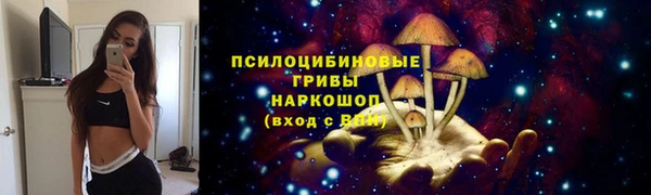 mix Алексин