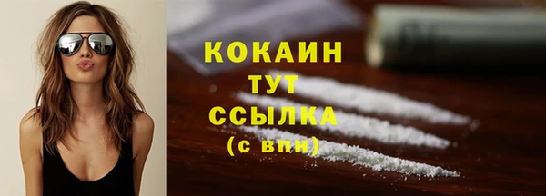 круглые Пересвет