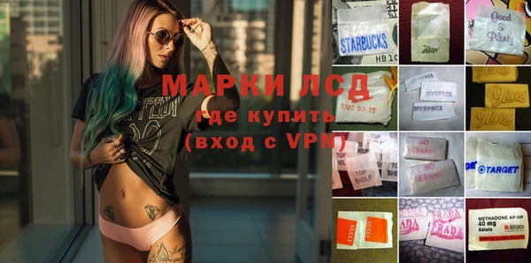 apvp Алзамай